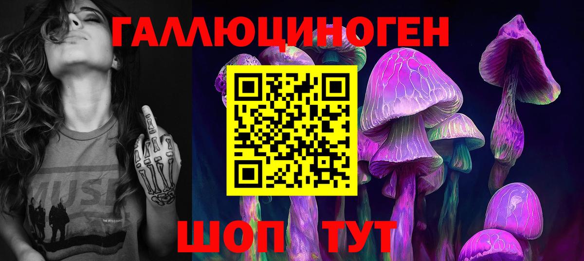Псилоцибиновые грибы прущие грибы  Вход с VPN  Зерноград 